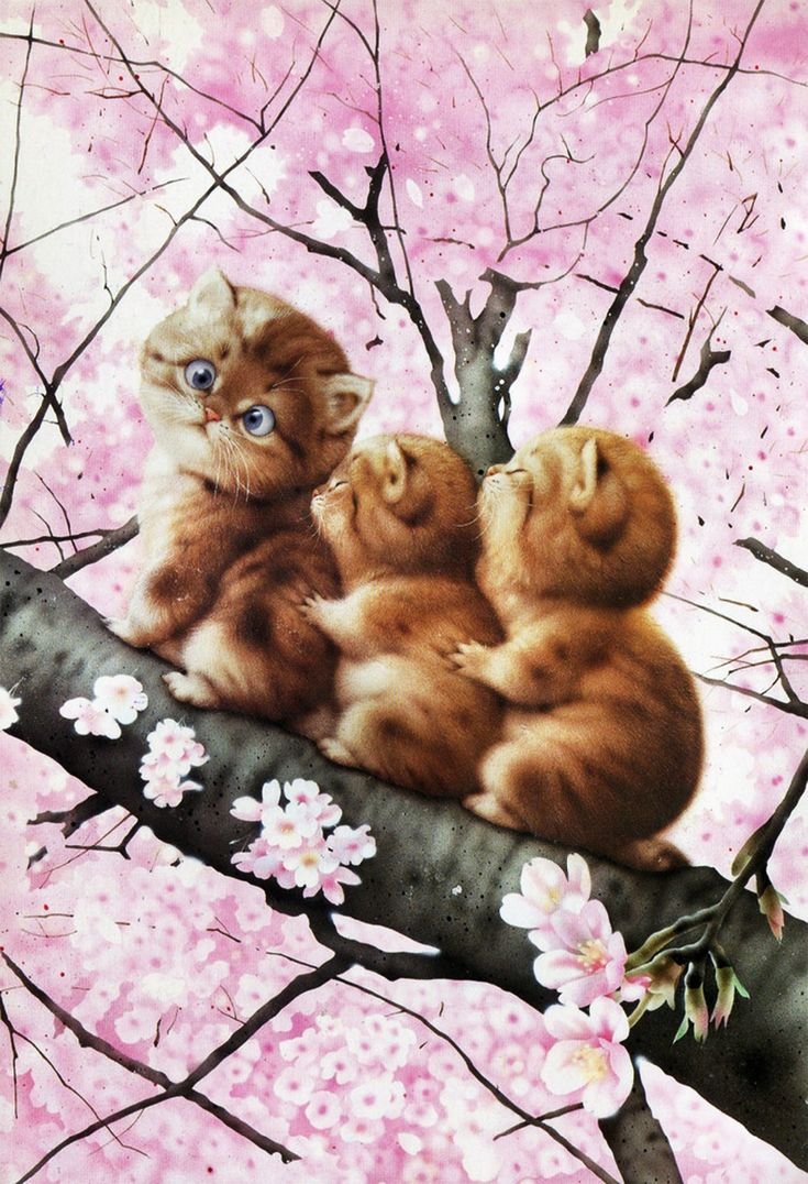 Японский художник Макото Мурамацу