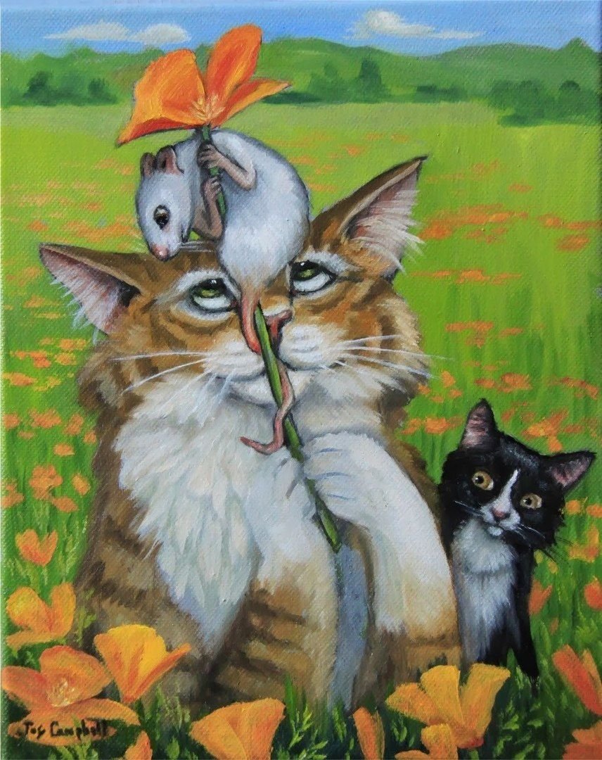 Джой Кэмпбелл