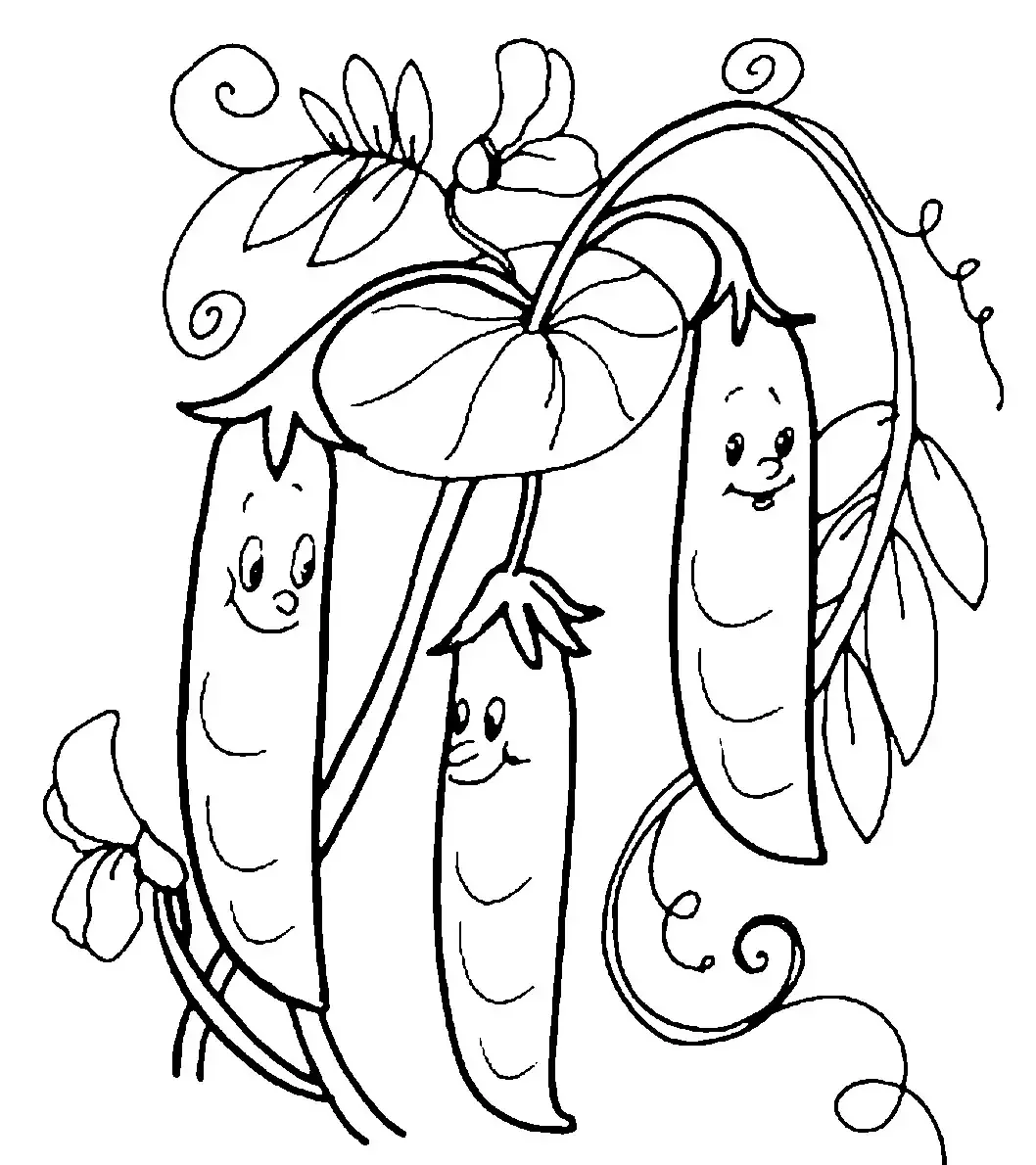 Горох раскраска для детей