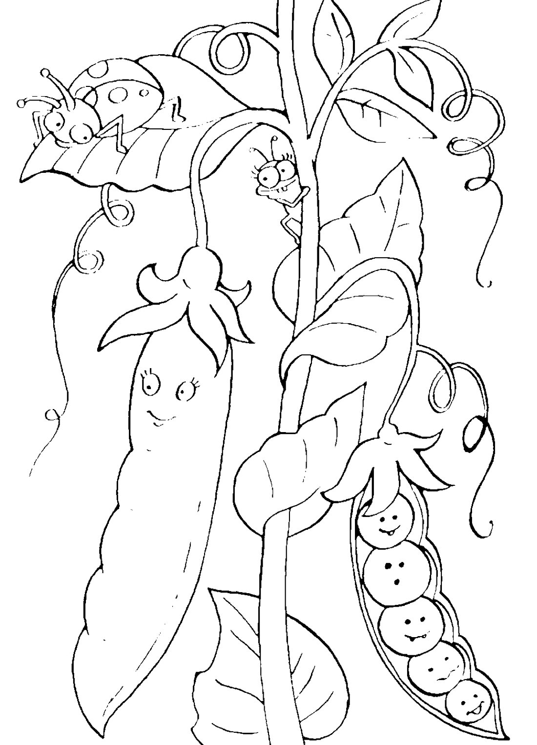 Раскраски к сказке пятеро из одного стручка