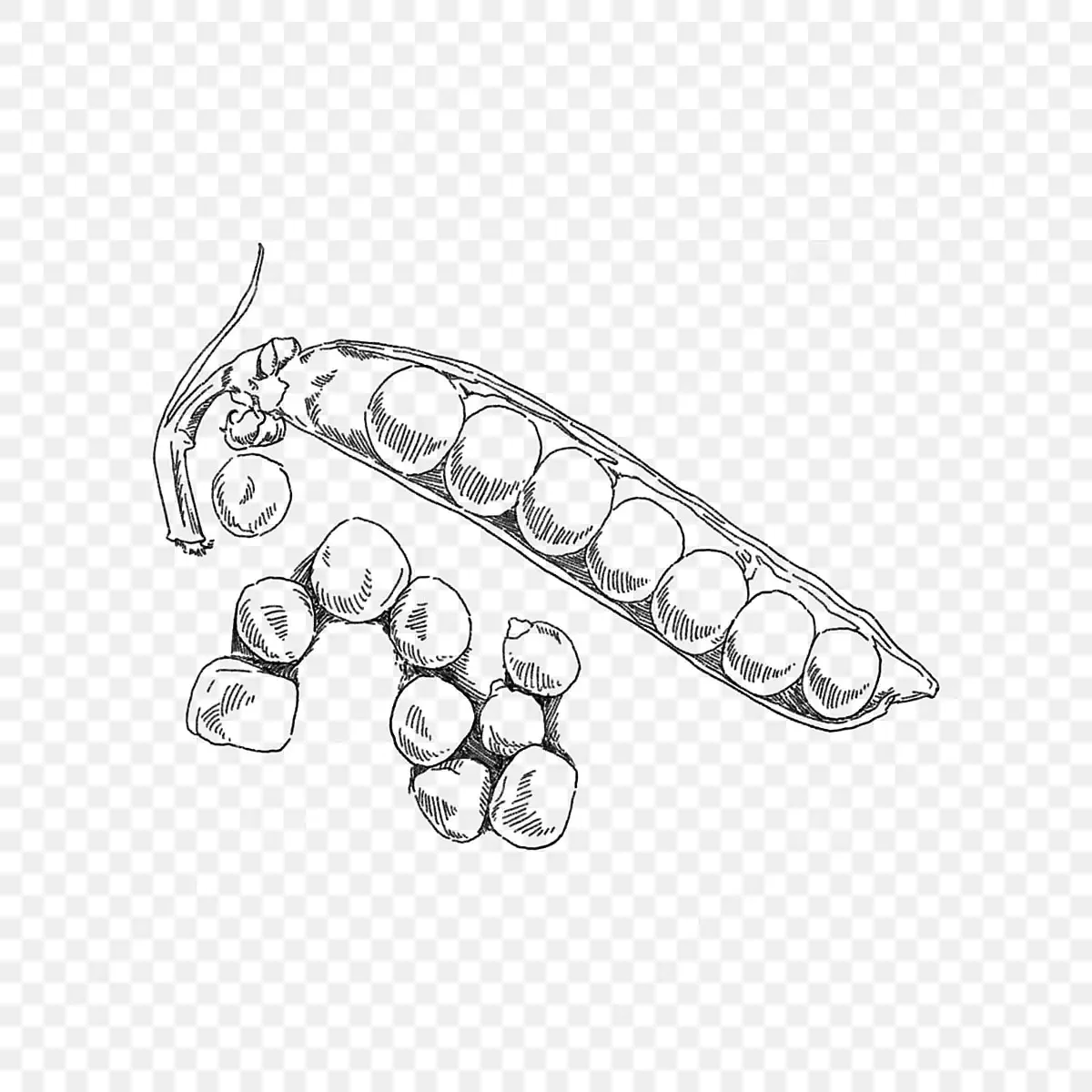 Горох Графика