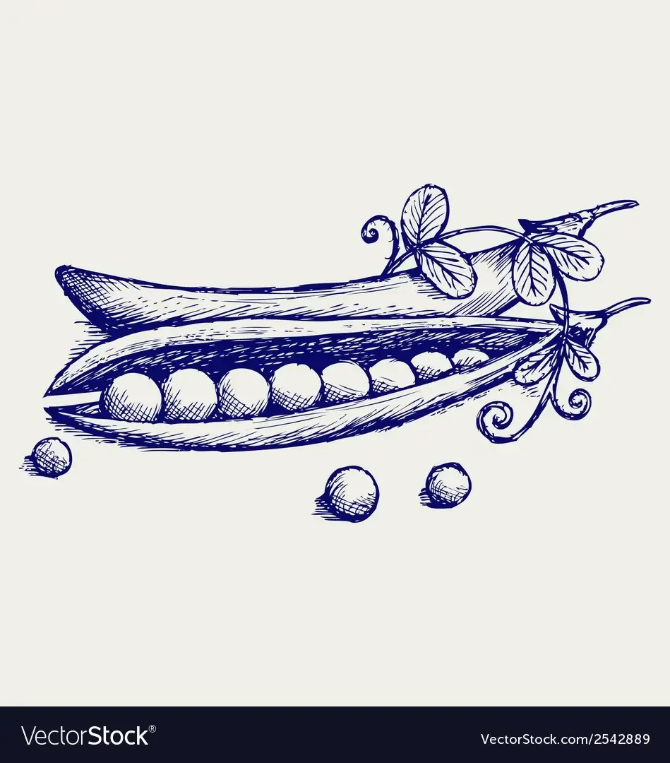 Пятеро из одного стручка иллюстрации