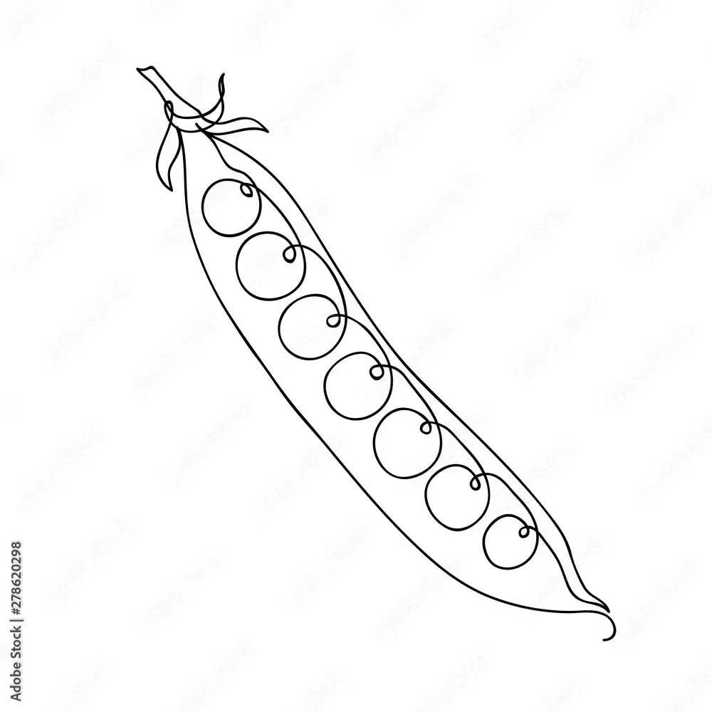 Стручок гороха вектор