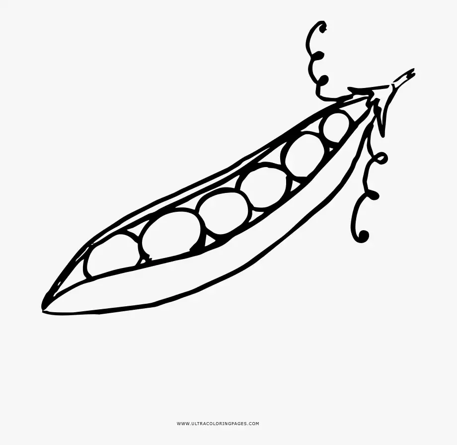 Горох раскраска для детей