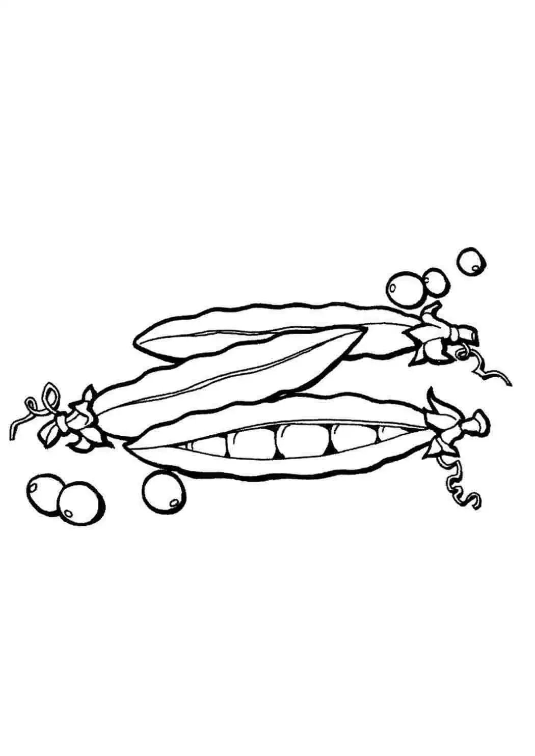 Горошина раскраска