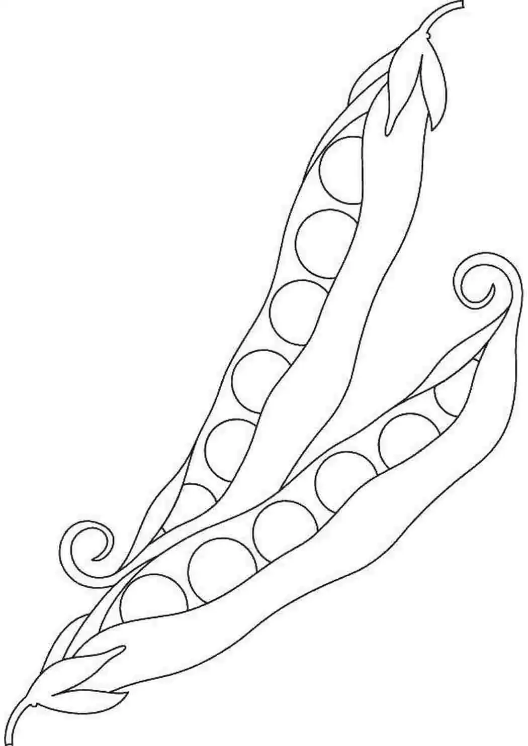 Горох раскраска для детей