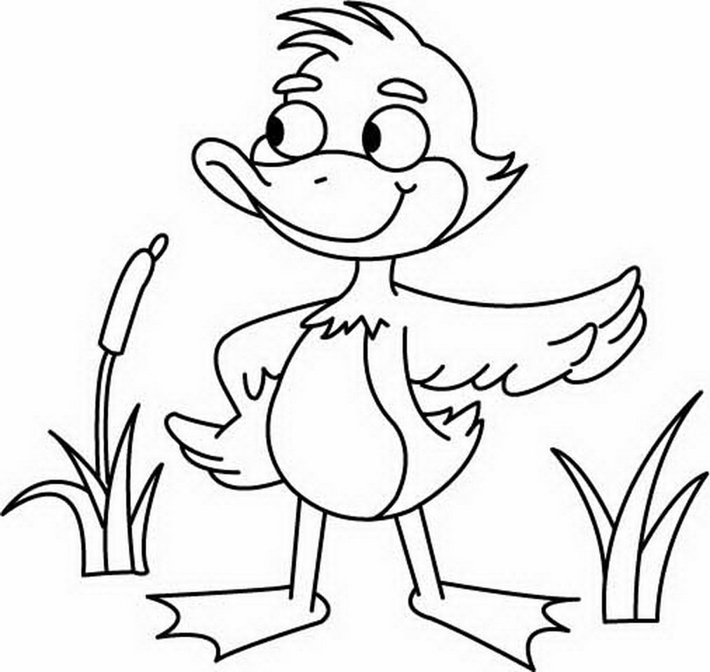 Уточка карандашом