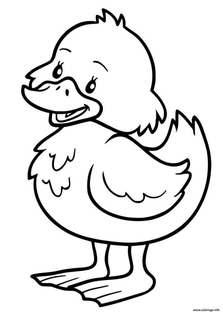 Храбрый утенок Житков текст