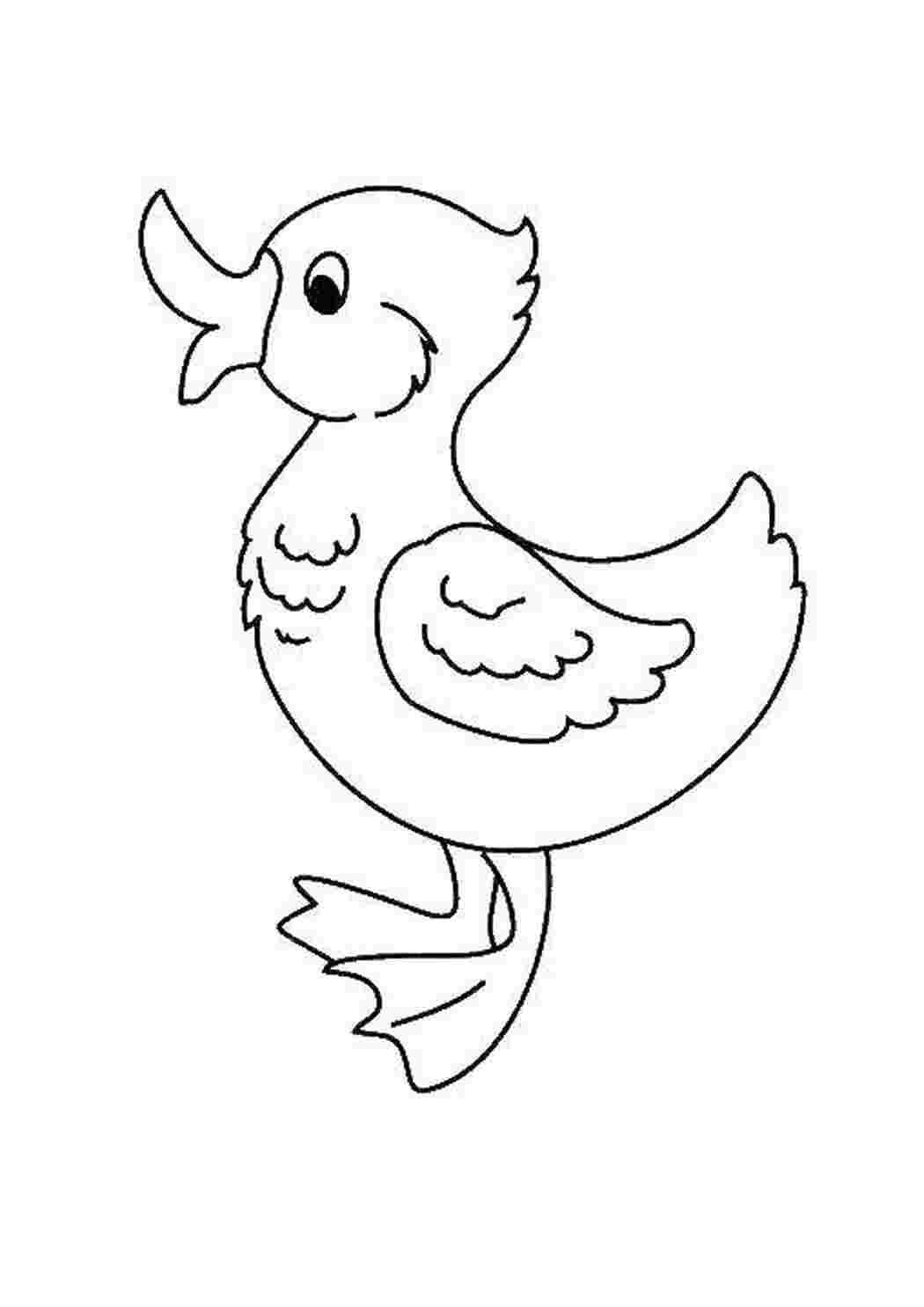 Книжка Сутеева цыплёнок и утенок