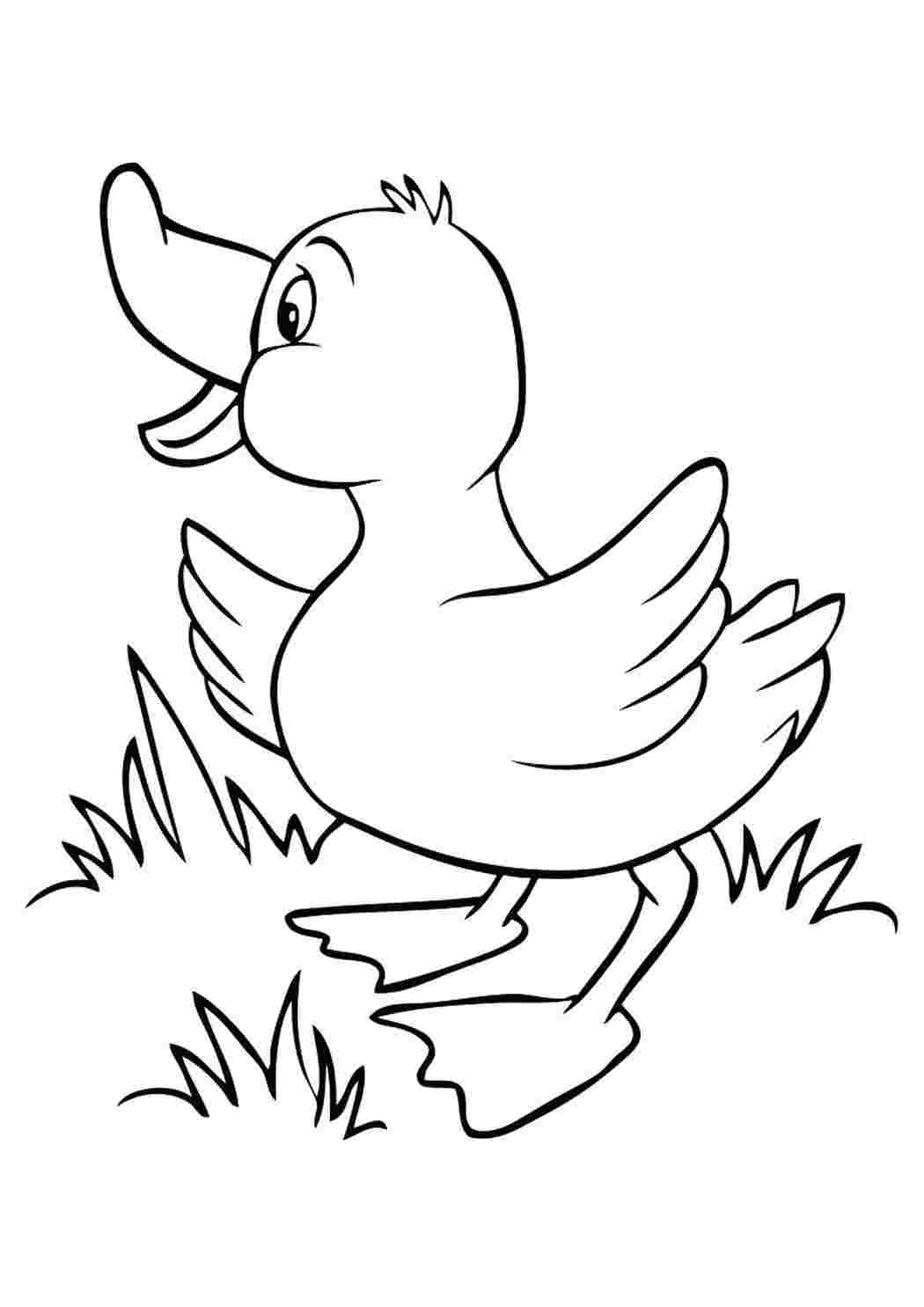 Уточка на озере раскраска