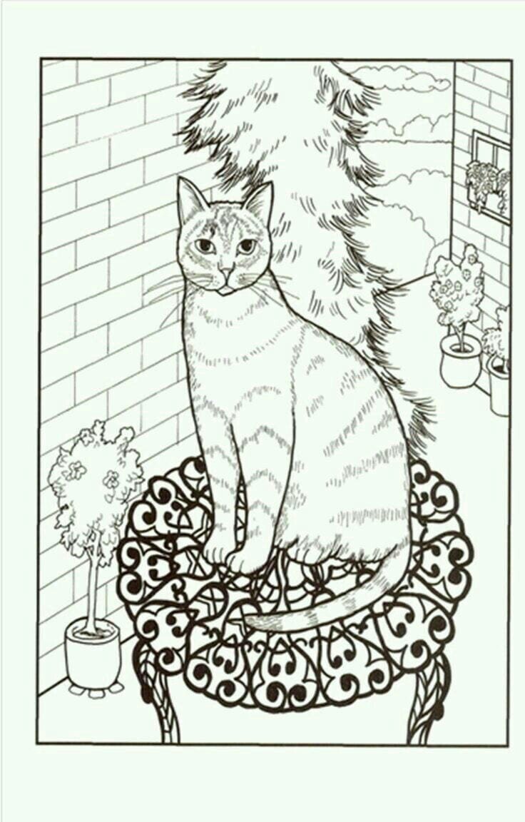 Кот Картонович домик для кошек