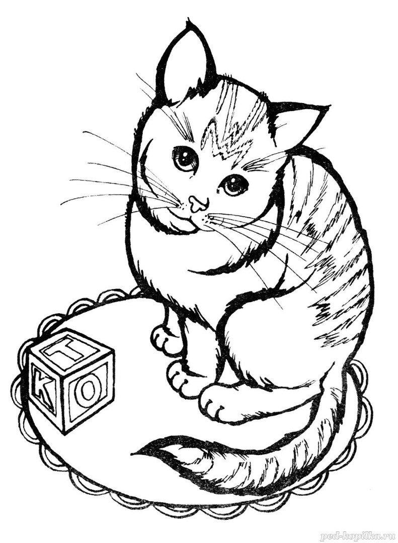 Домик для кошки вектор