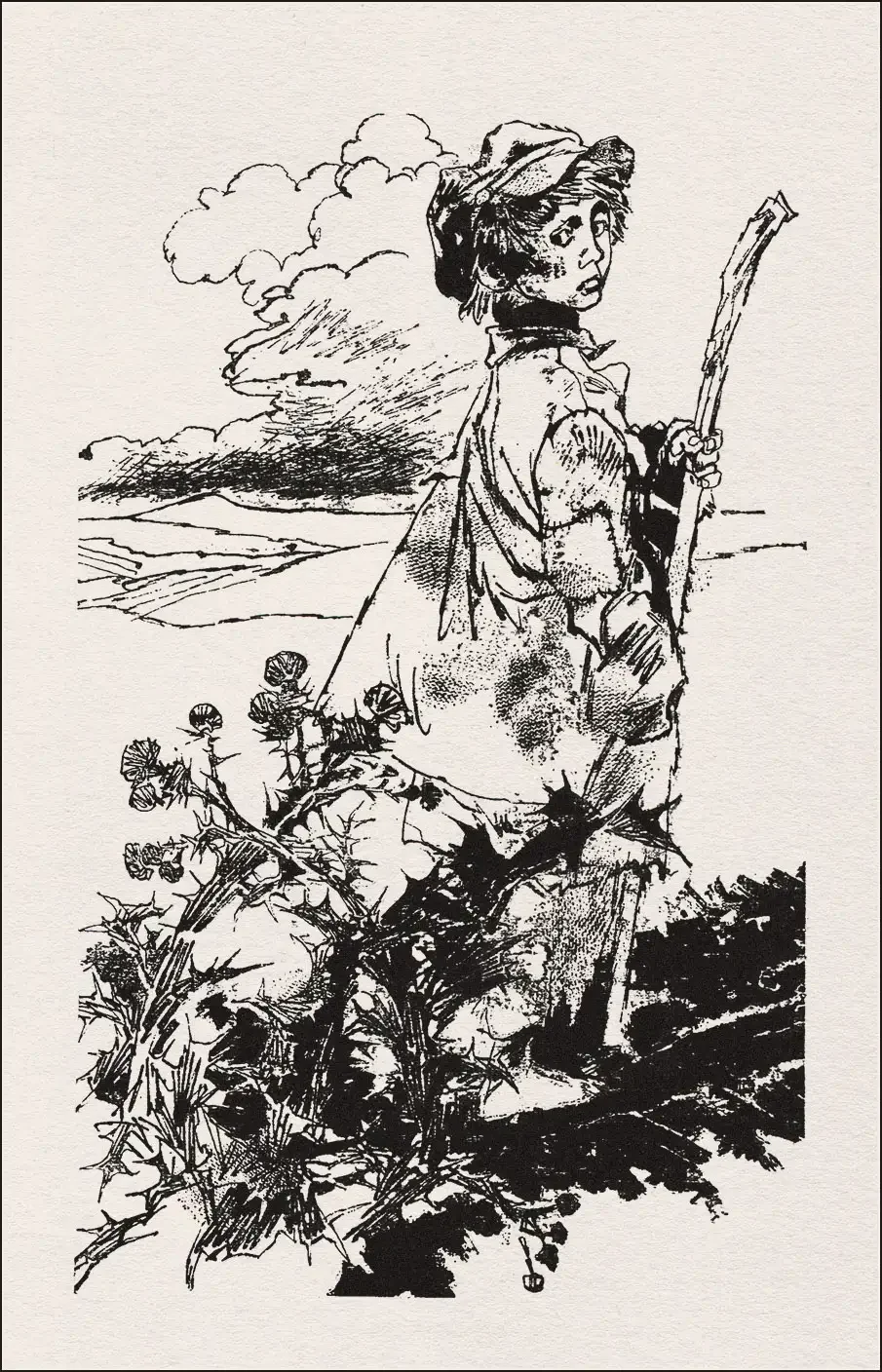 Новожилов иллюстратор