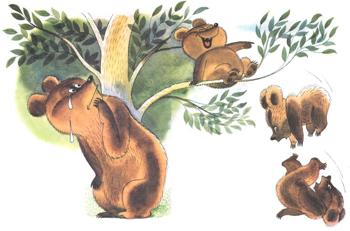 Раскраска. Медвежонок