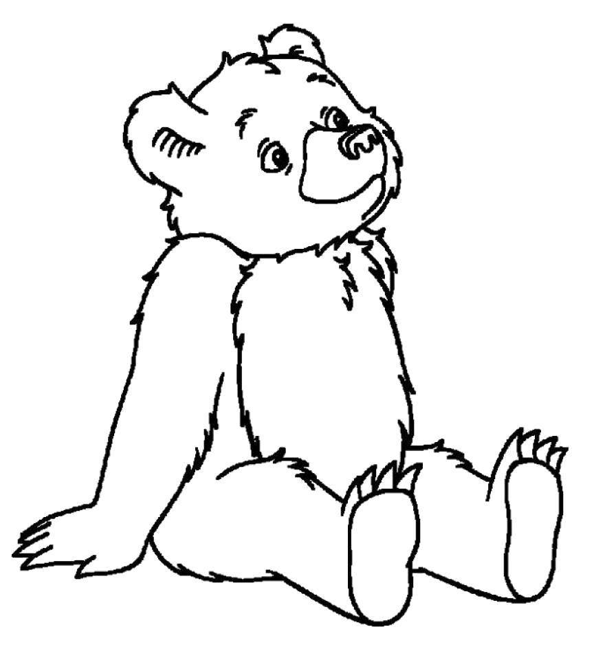 Медведь на дереве раскраска