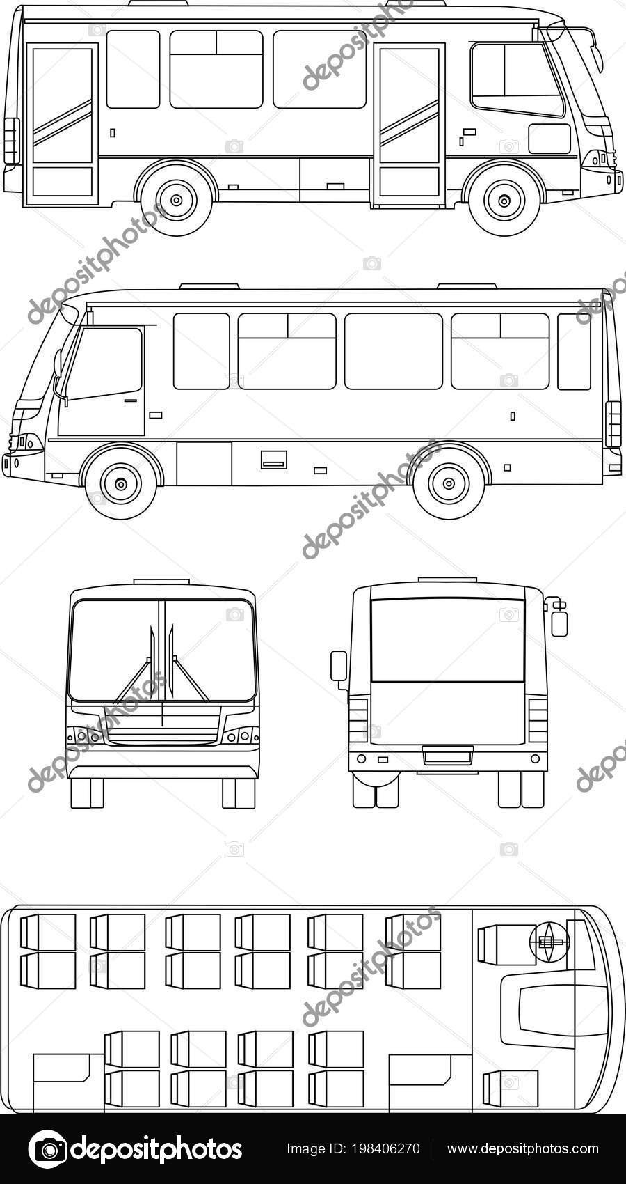 Паз раскраска