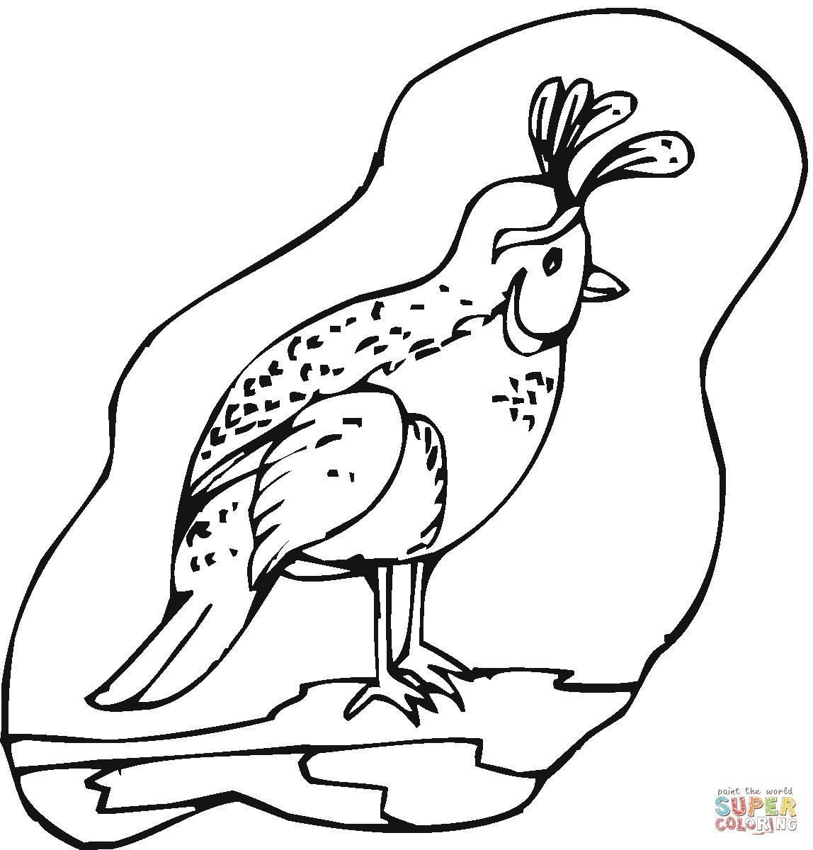 Перепелка раскраска