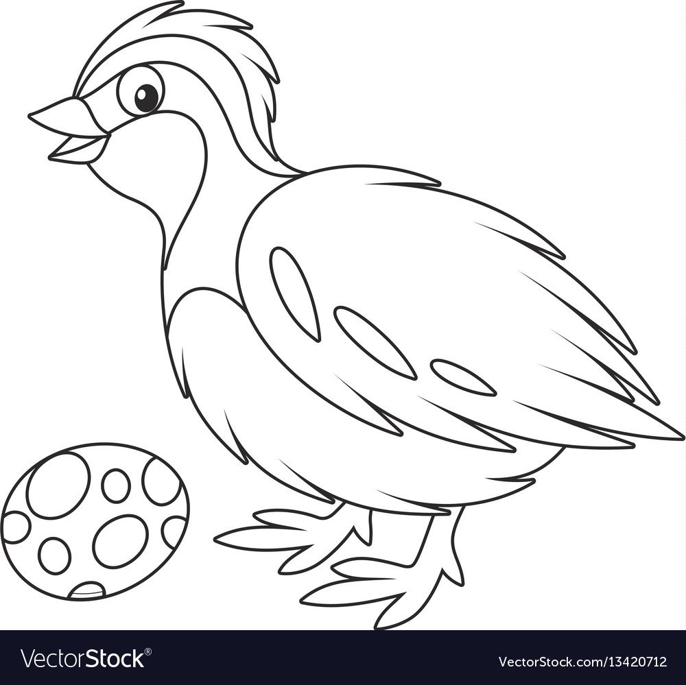 Бианки оранжевое горлышко книга