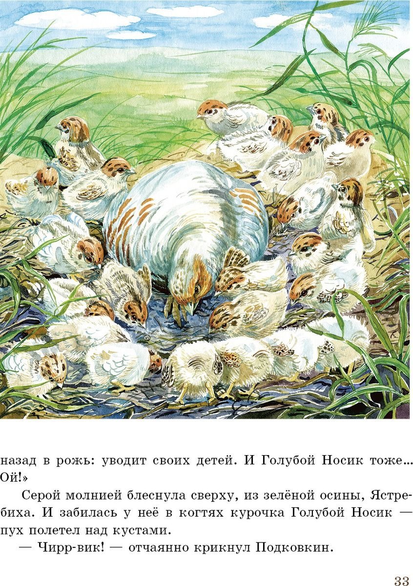 Оранжевое горлышко Мурзук