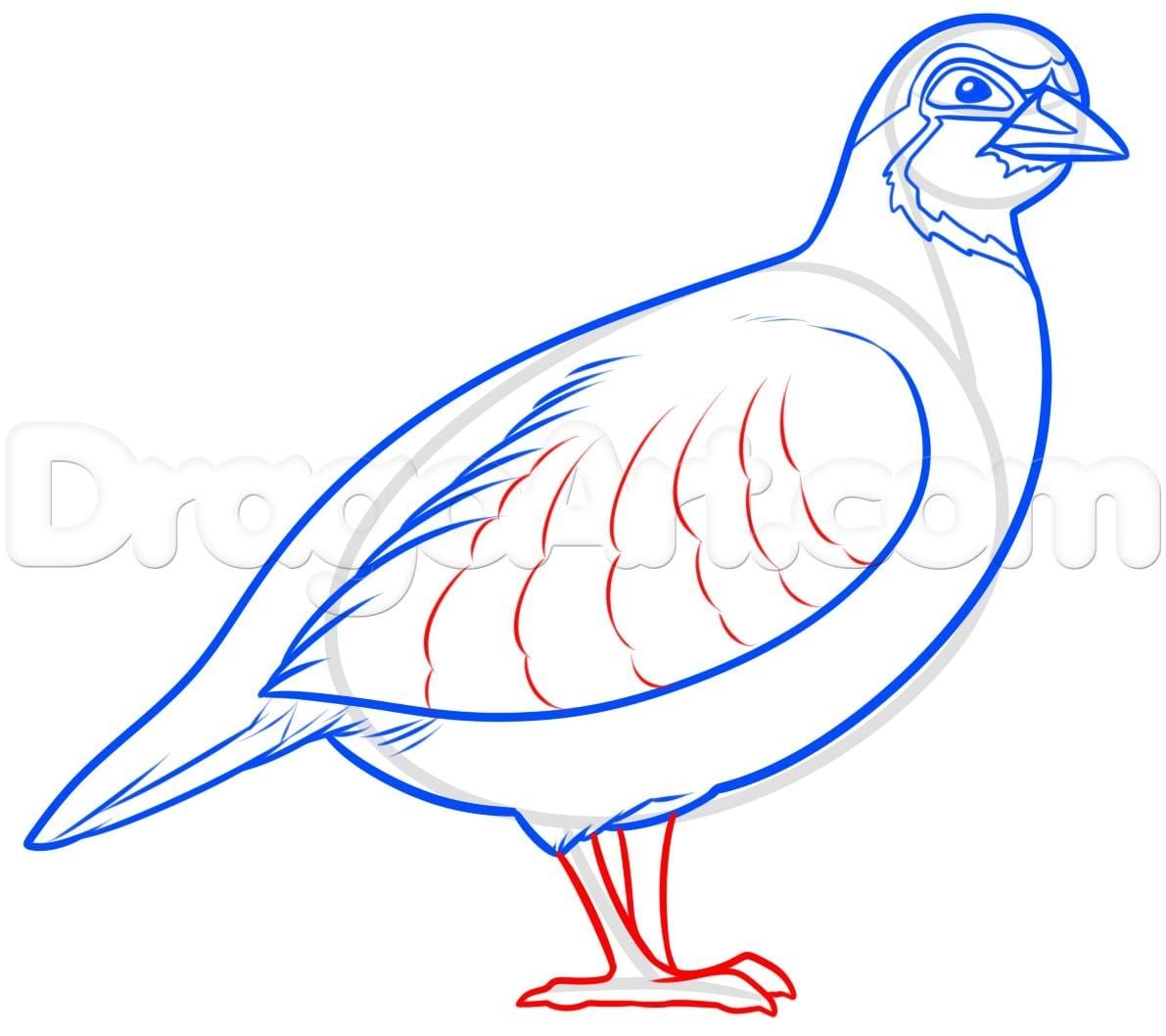 Логотип курица с цыплятами