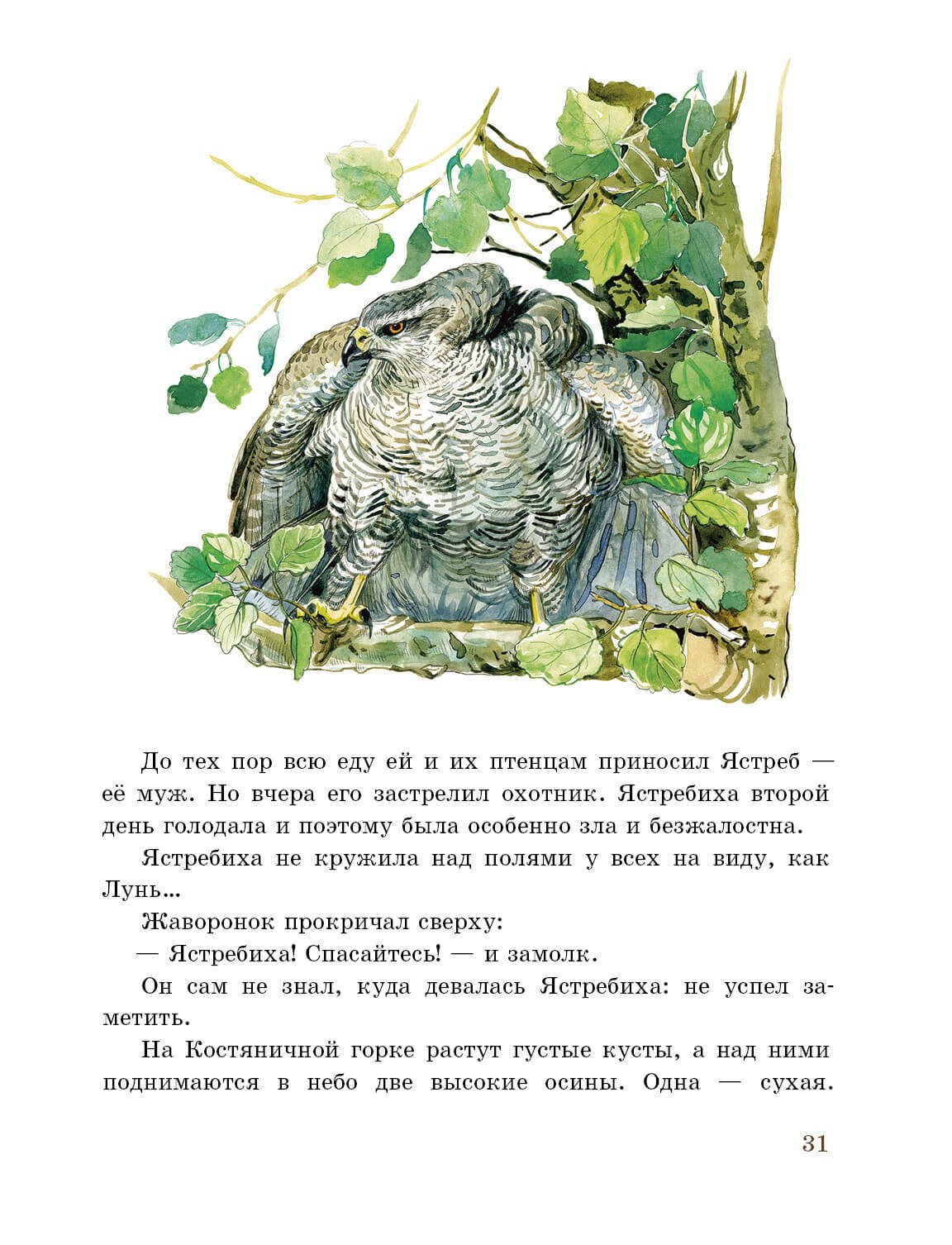 Перепелка раскраска