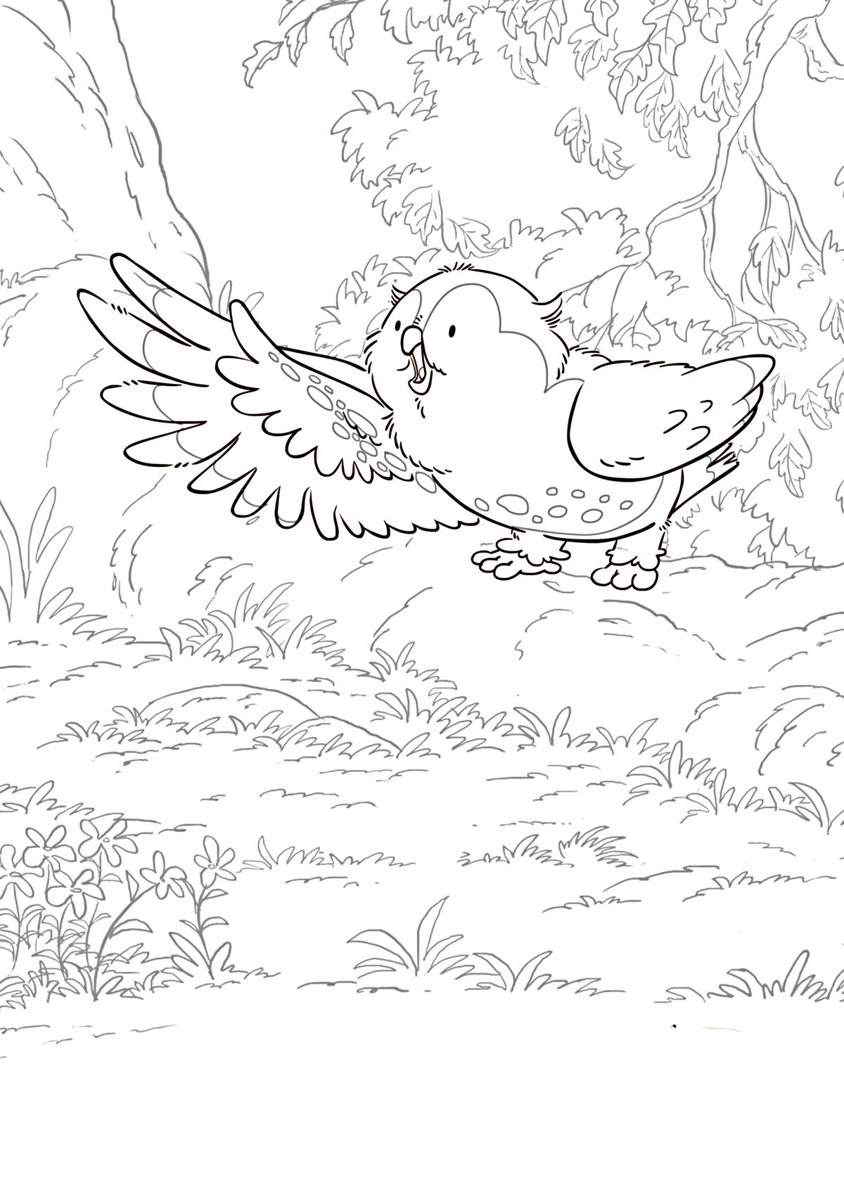 Куропатка рисунок карандашом