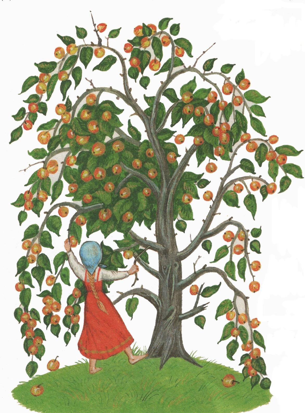 Крошечка Хаврошечка яблоня