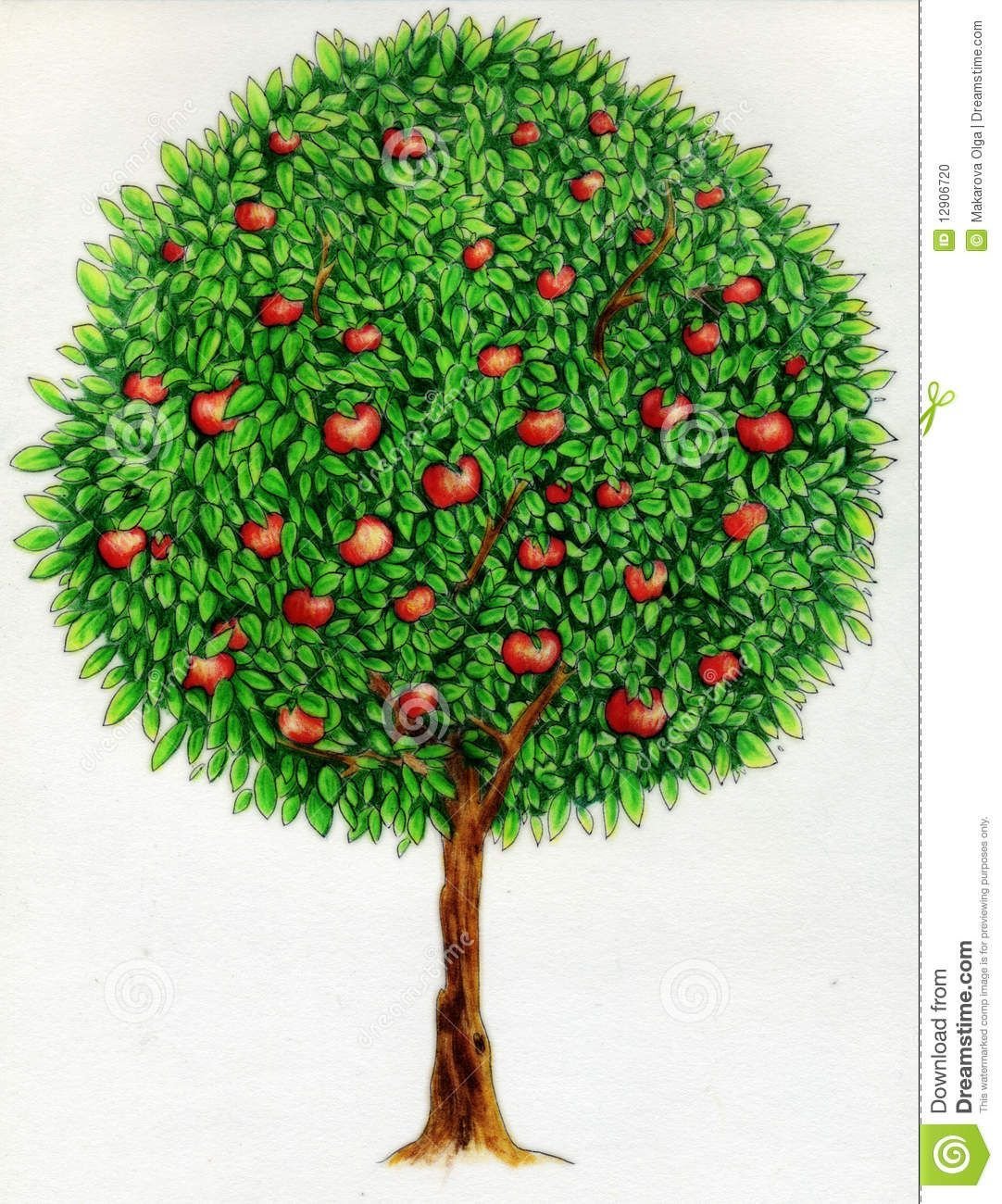 Дерево с круглой кроной для детей