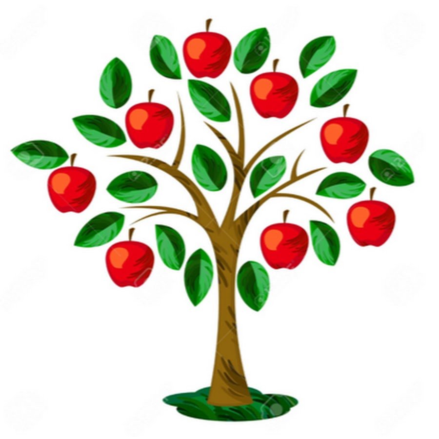 Яблоня для детей