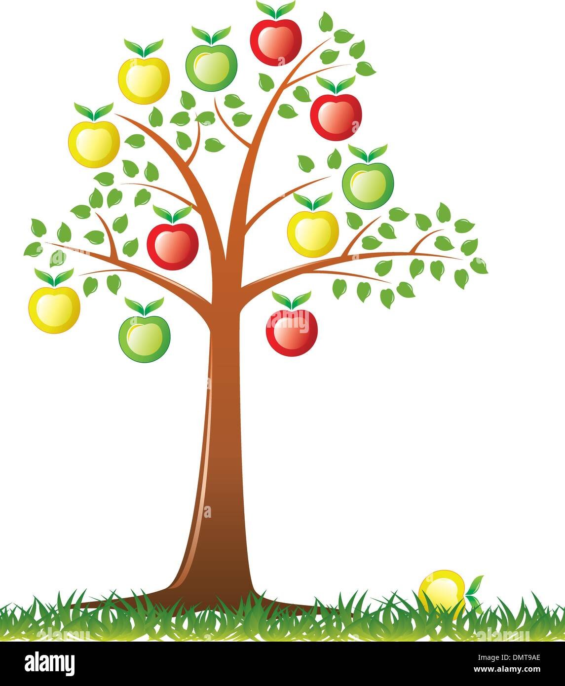 Дерево с яблоком в средней