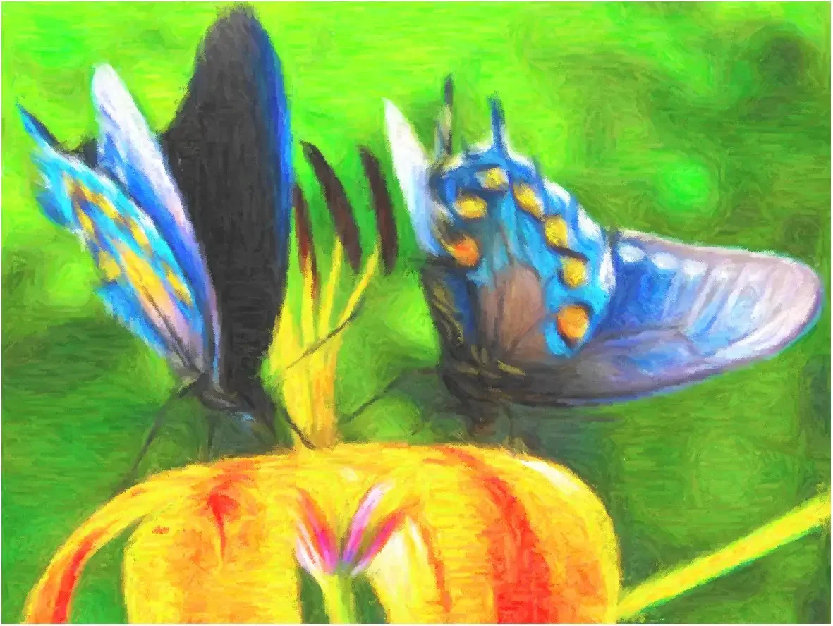 Мир насекомых