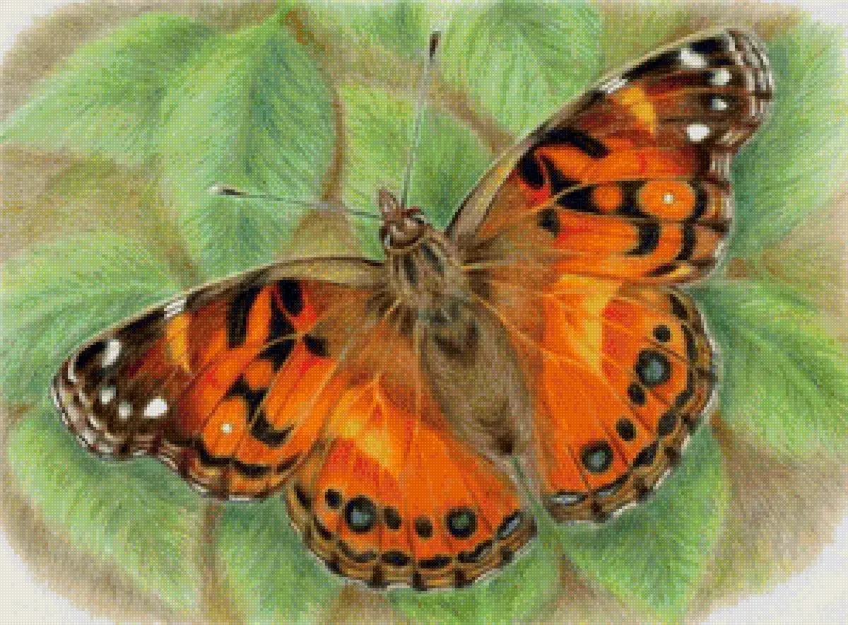 Мотылек в батике