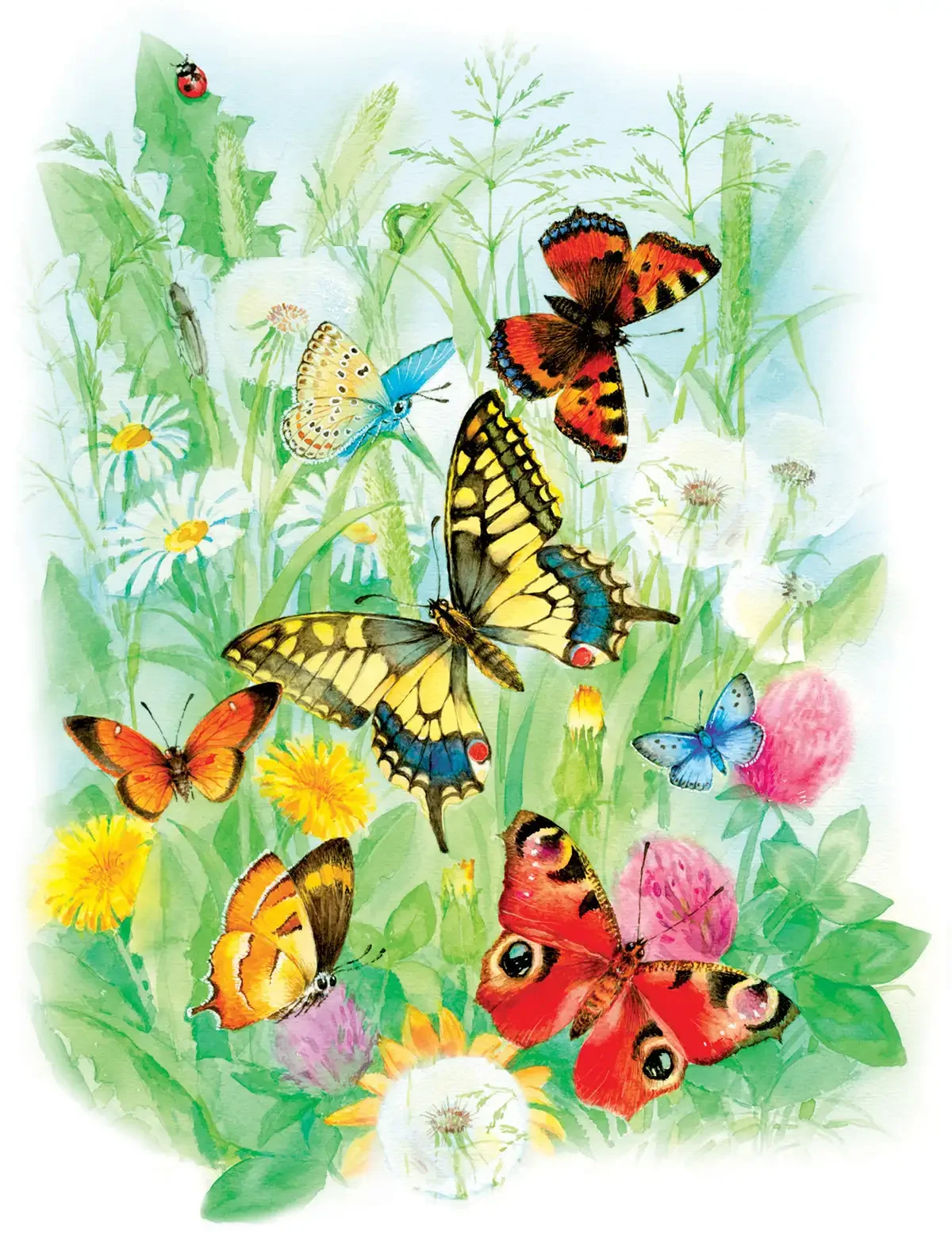 Синквейн бабочка