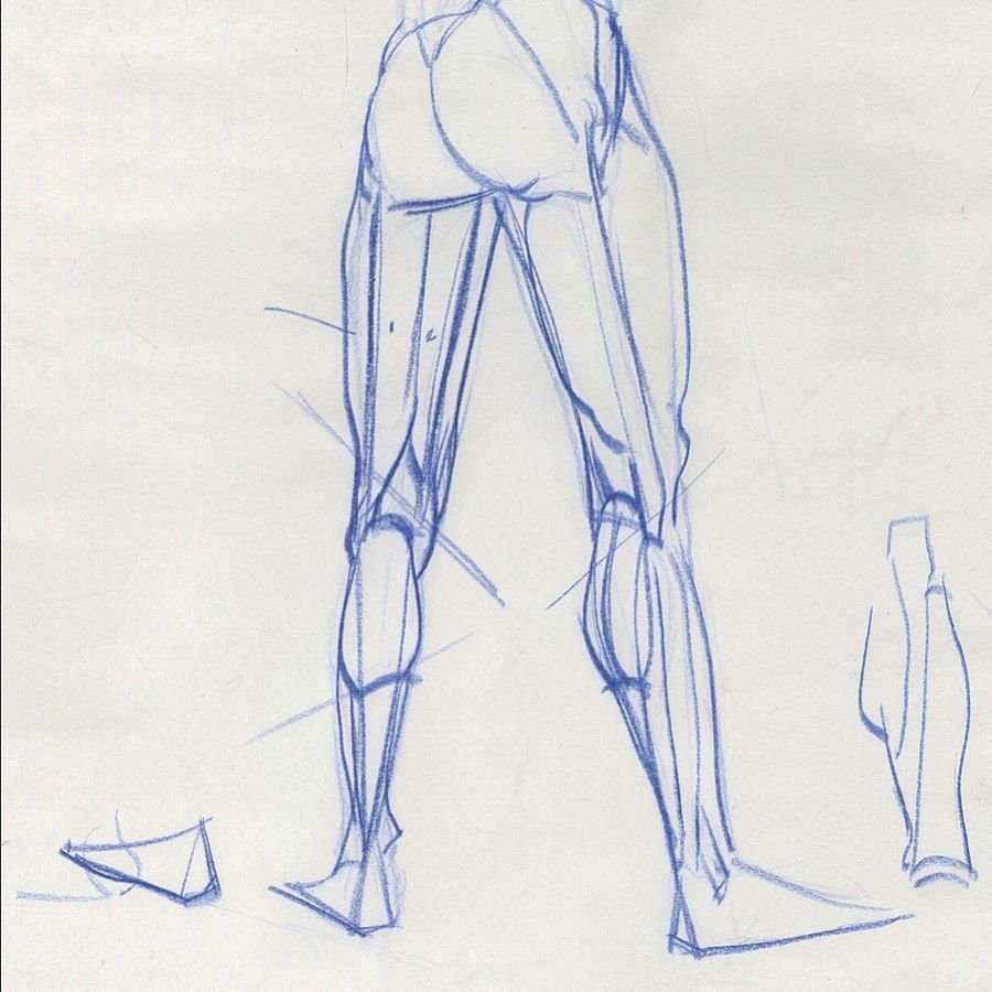 Мужские бедра для рисования