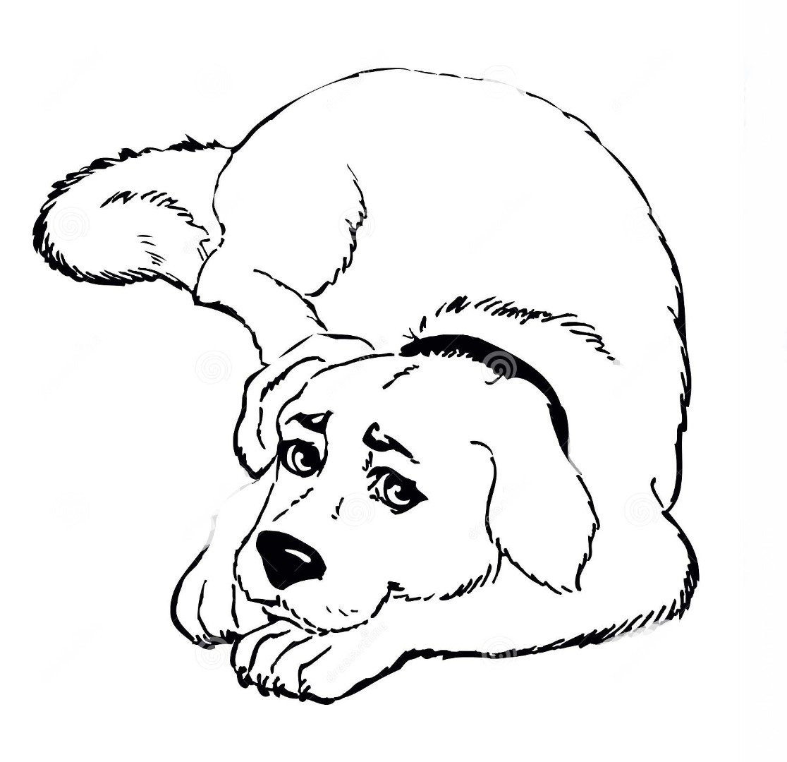 Раскраска собака лежит