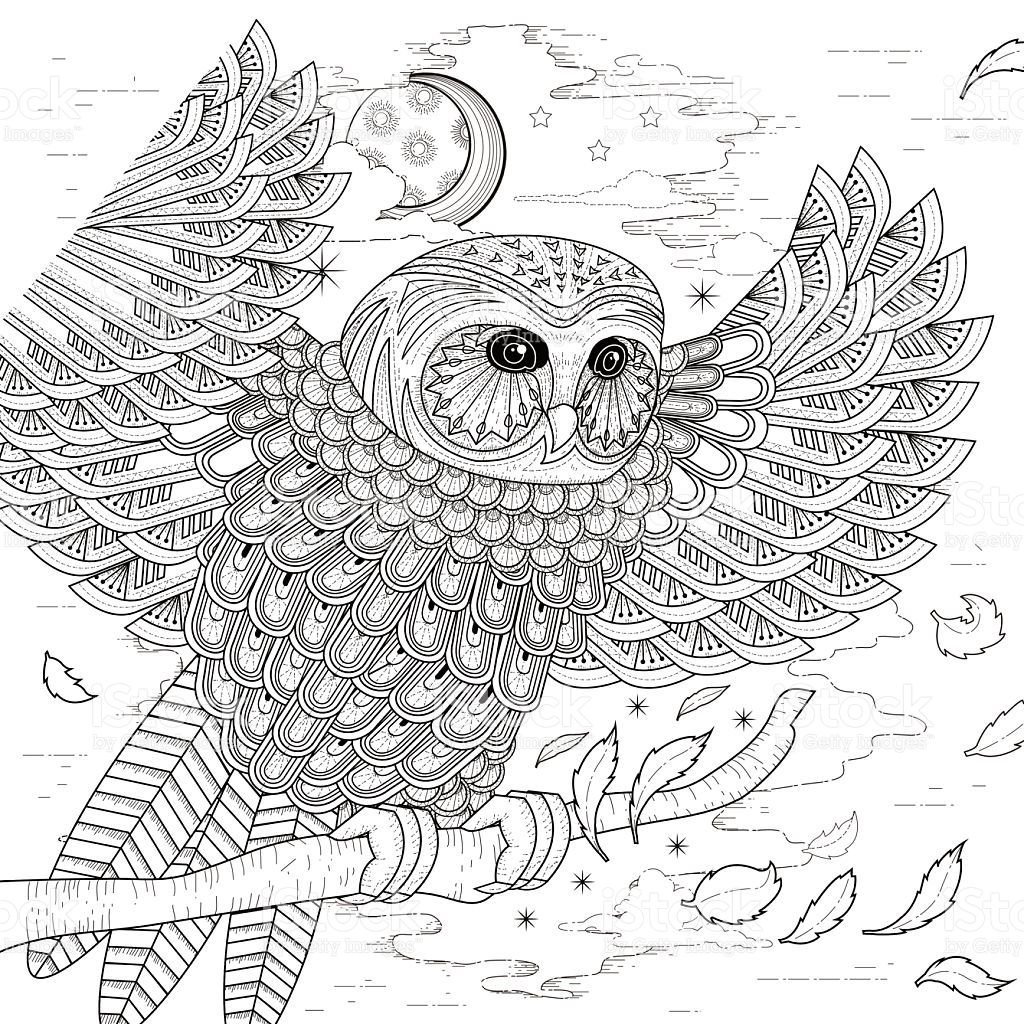Раскраска Сова на ветке для детей