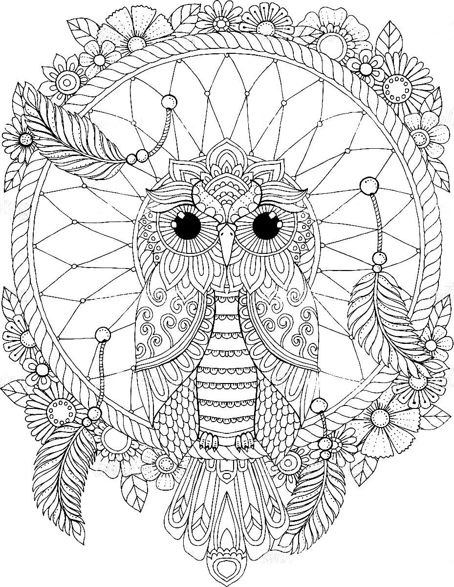 Сова на ветке раскраска