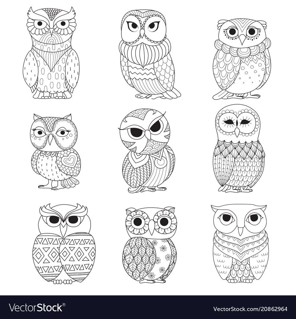 Раскраска птицы Сова