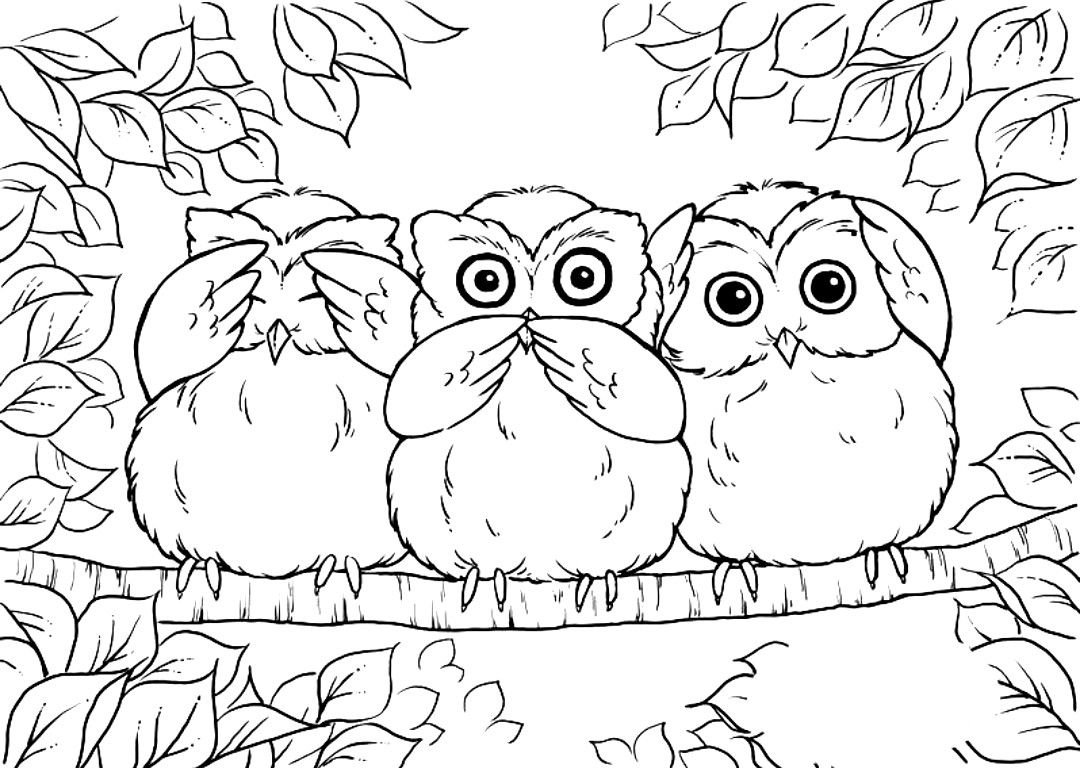 Совушки наклейки черно-белые