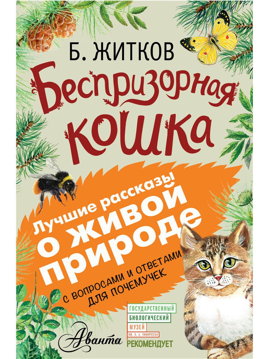 Кошка в лежачем положении