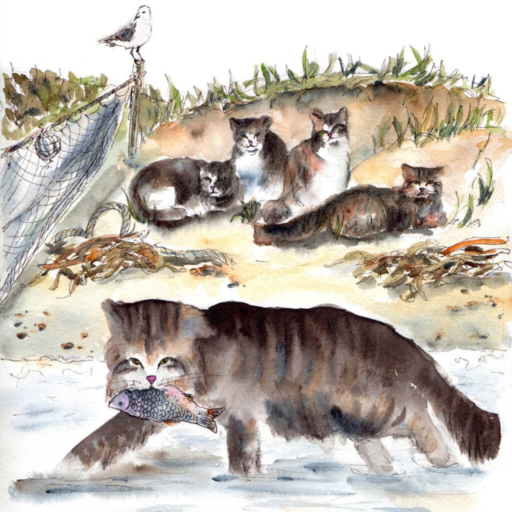 Житков б.с. "Беспризорная кошка"