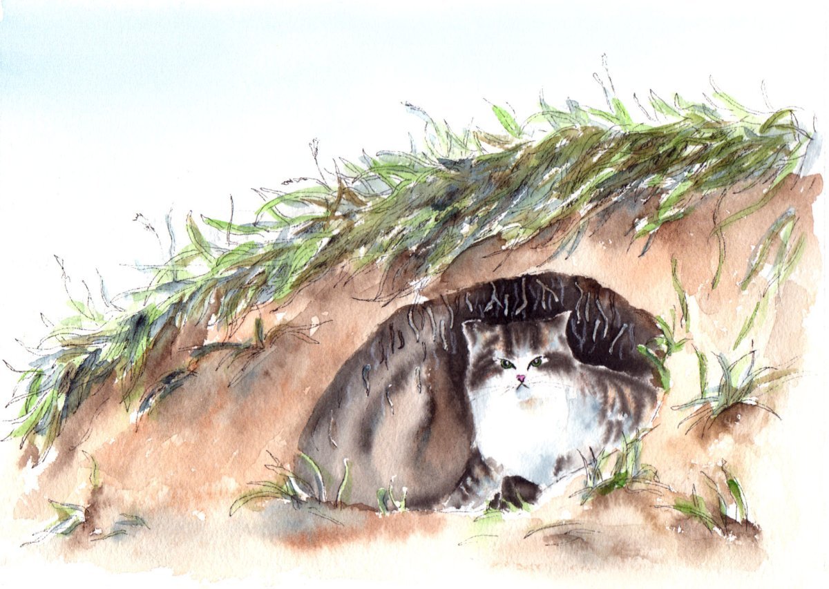 Борис Житков кошка