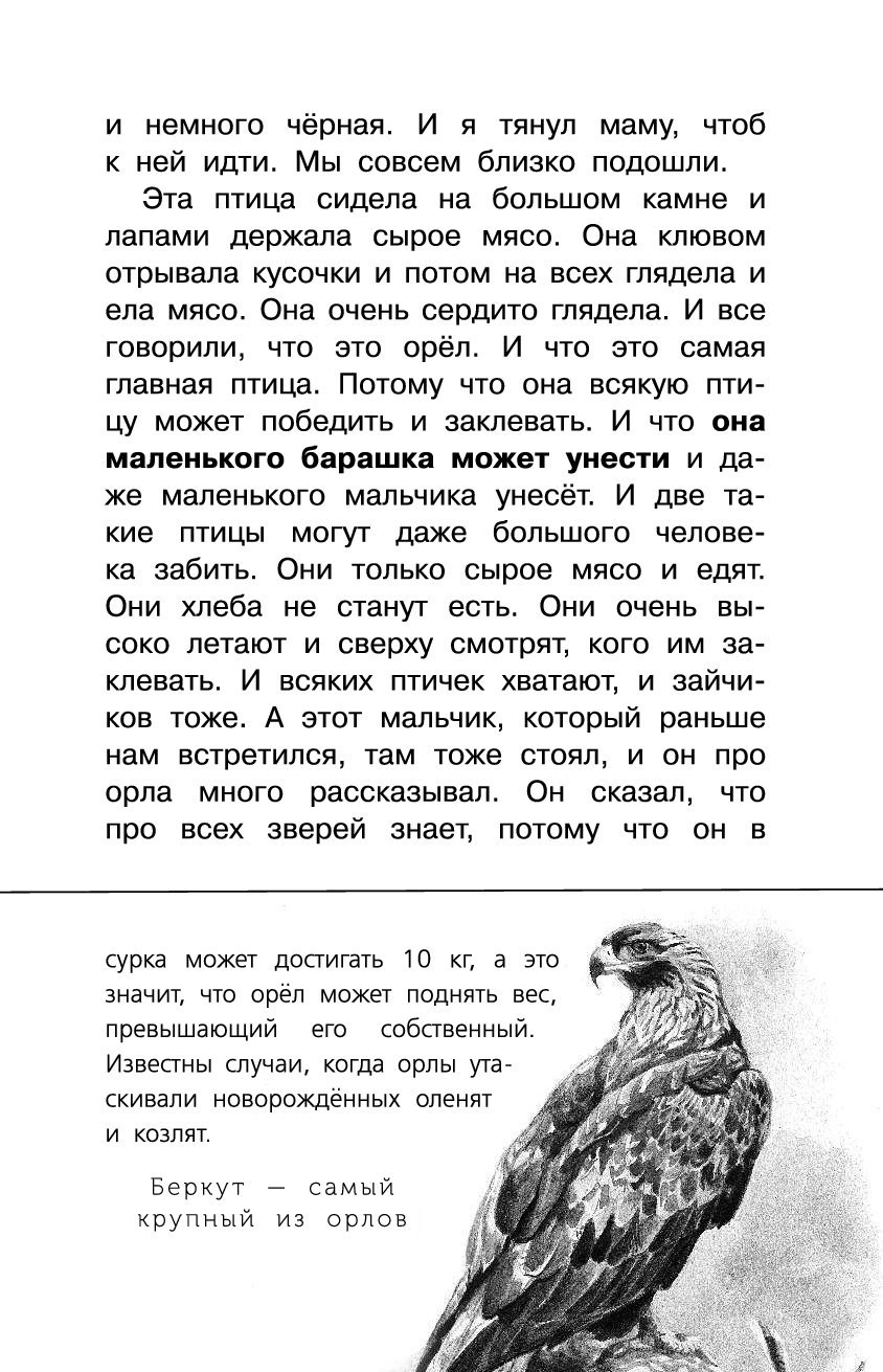 Книга Беспризорная кошка