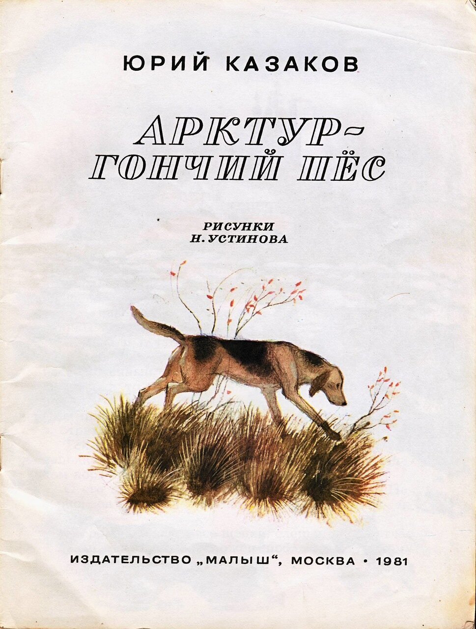 Казаков Арктур гончий пес