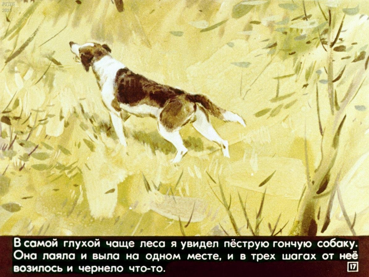 Иллюстрация к рассказу Булька Толстого