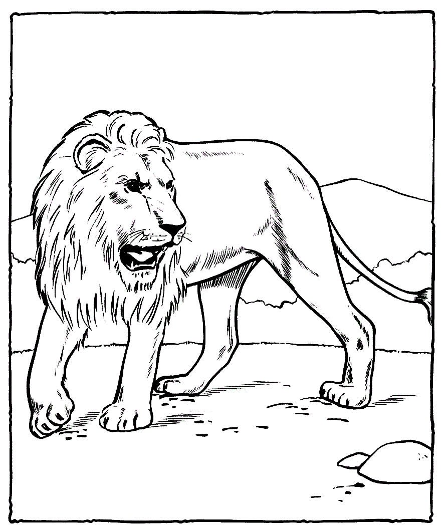 Лев и собачка раскраска