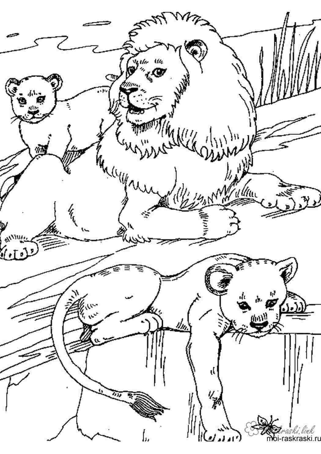 Трусливый Лев волшебник изумрудного города