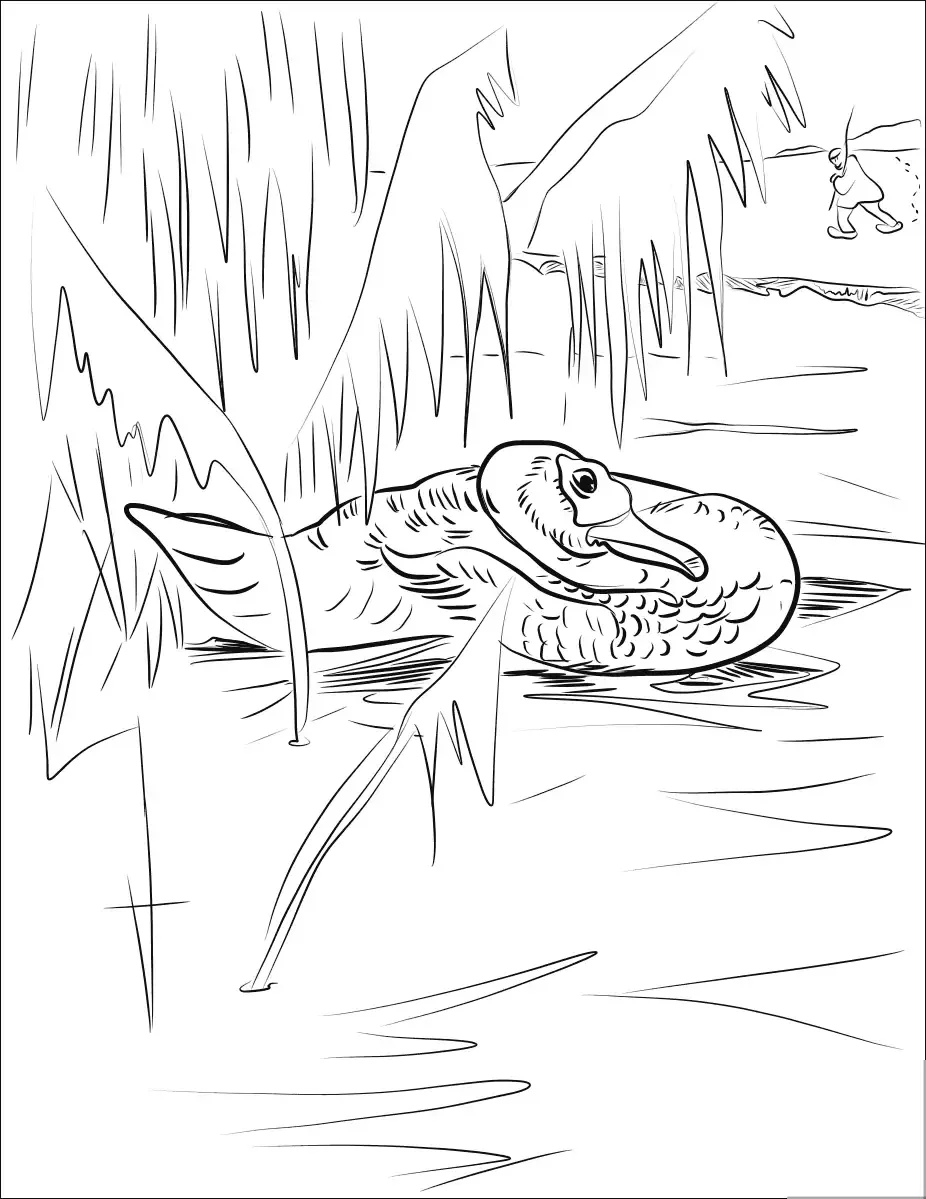 Серая шейка раскраска