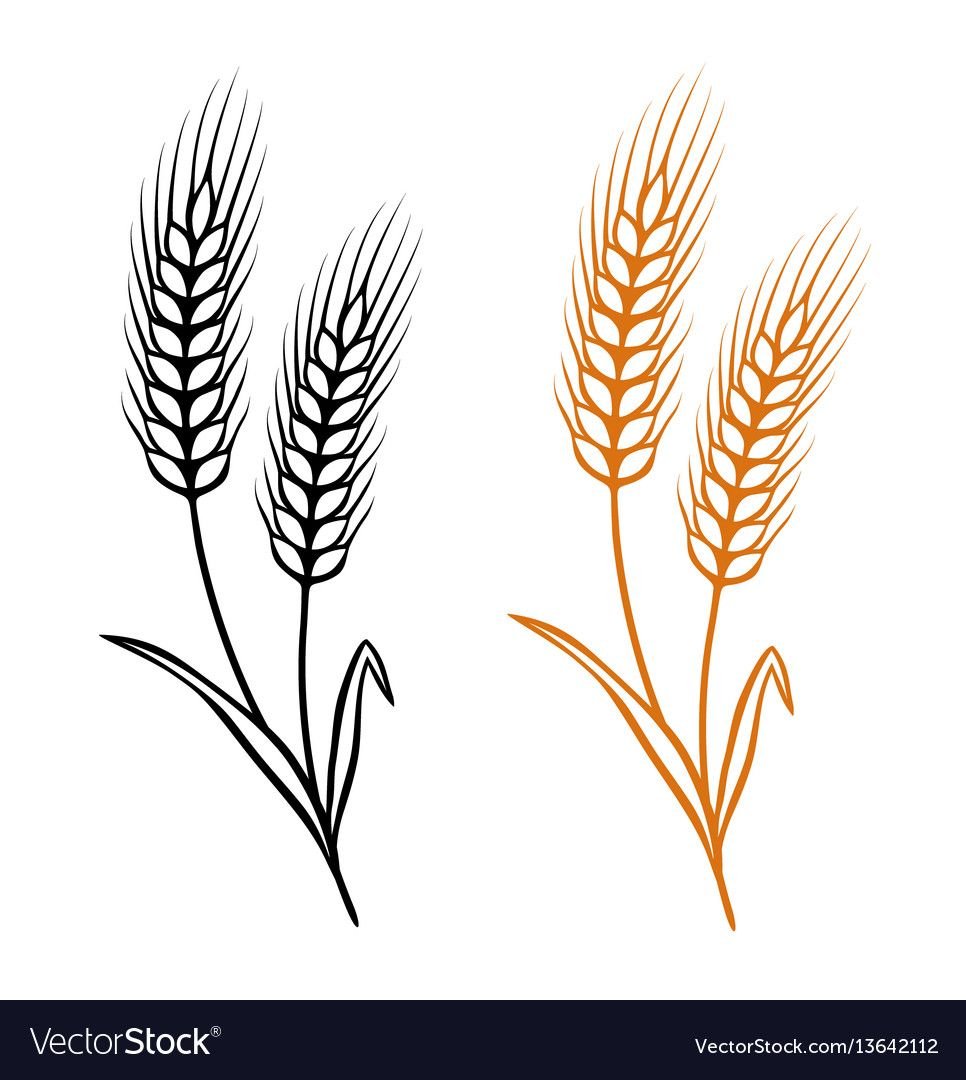 Сноп пшеницы