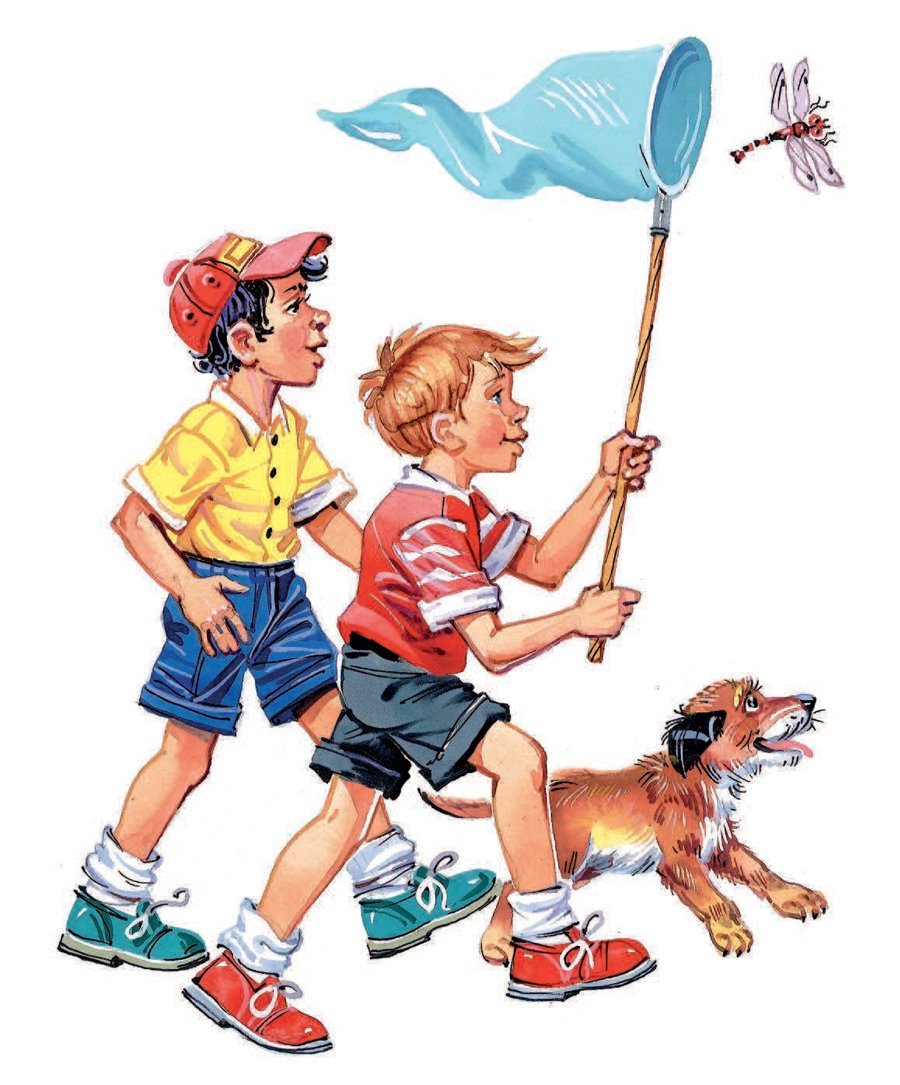 Книга Носов приключения толи Клюквина